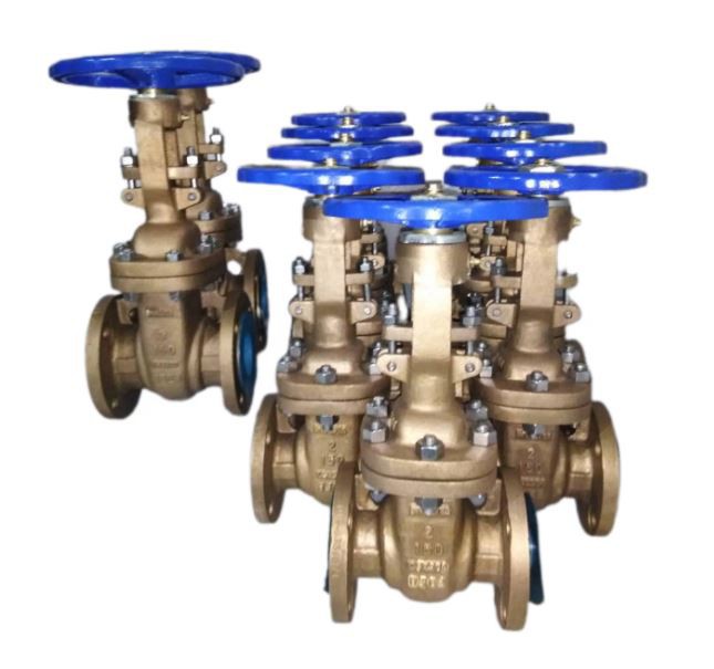 Oxygen Gate Valve
