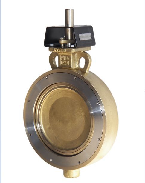 High Performance Butterfly Valve Series 5000